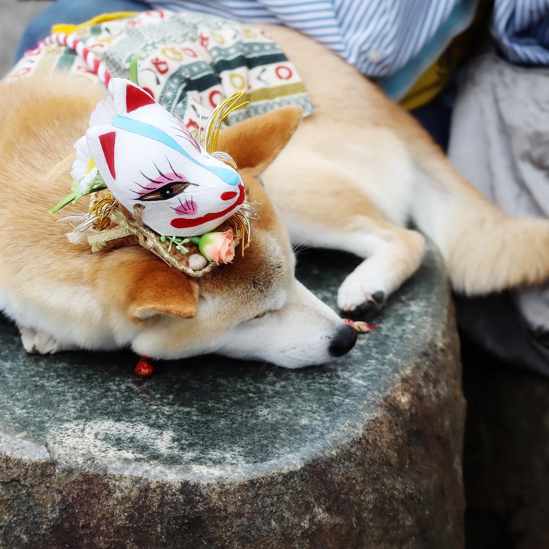 日本东京浅草寺体验,东京浅草寺注意事项
