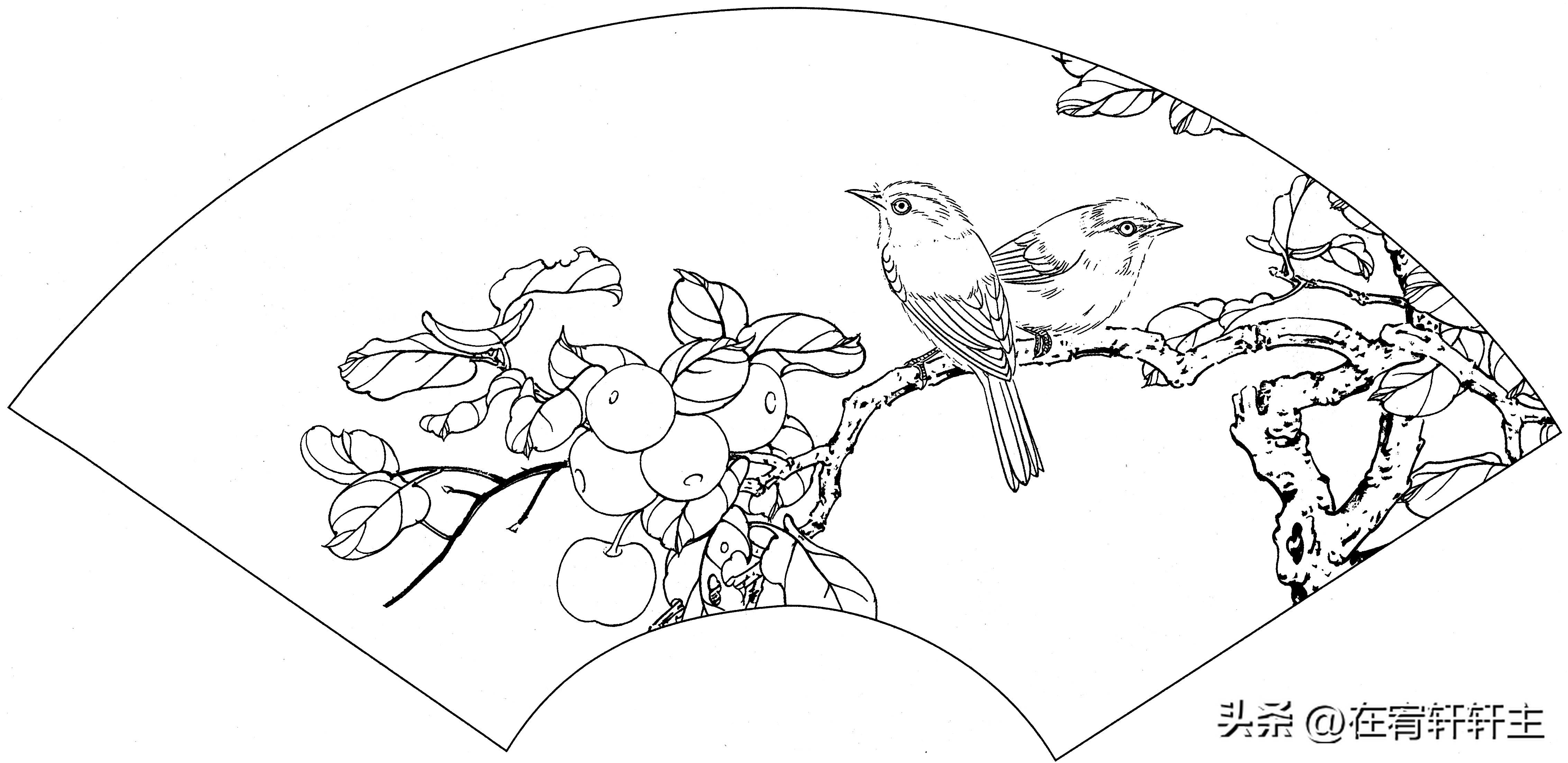 工笔白描祥云图案扇面,工笔扇面葡萄白描图片