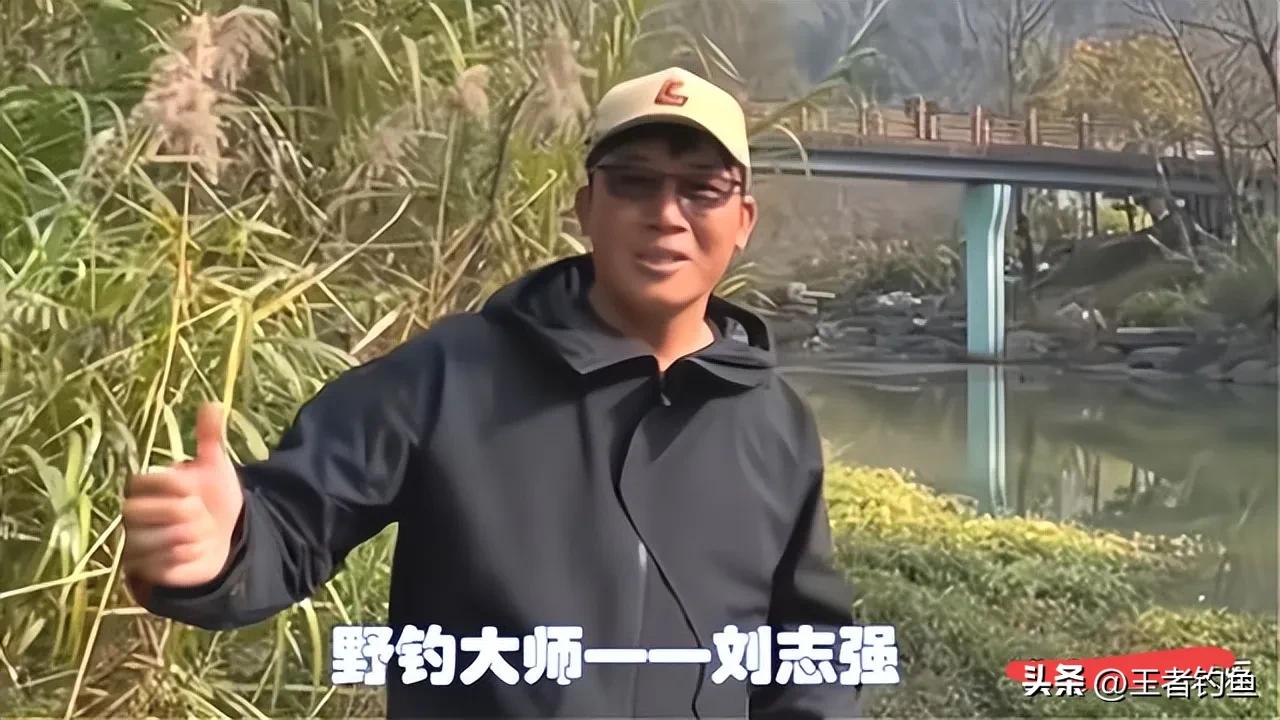 刘志强野钓鲫鱼绝密技巧,刘志强钓鱼视频野钓实战全集
