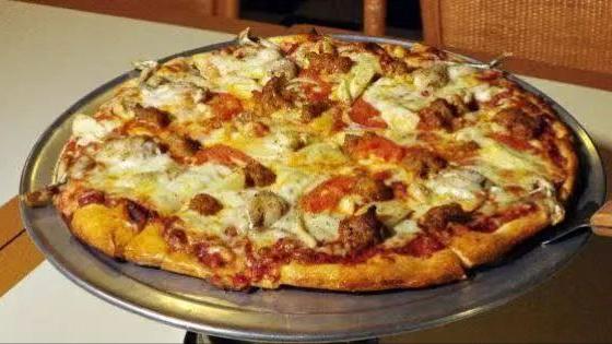 美国佛州最大缅甸蟒,美国蟒蛇泛滥原因