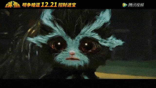 同样是动物却不一样的待遇,同样都是哈士奇却有不同的待遇