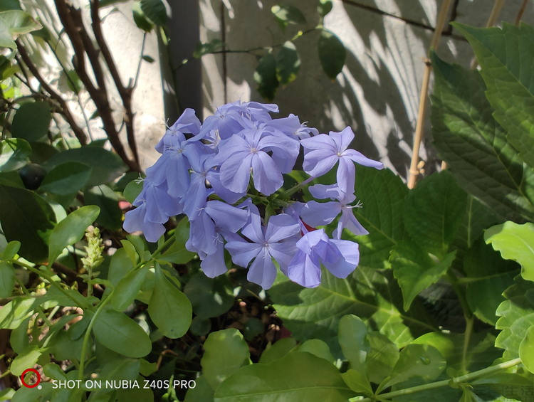 努比亚z40spro全方位评测,小白测评5月20日测评努比亚z40pro