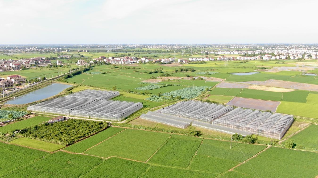 南龙镇党建引领全力推进乡村振兴,镇抓党建促乡村振兴工作情况汇报