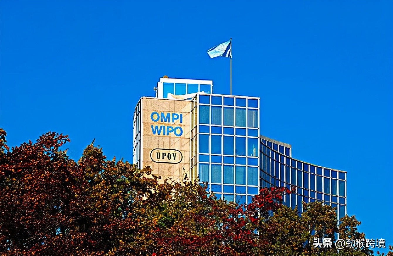 马德里商标注册代办流程,马德里商标注册一般代理费多少