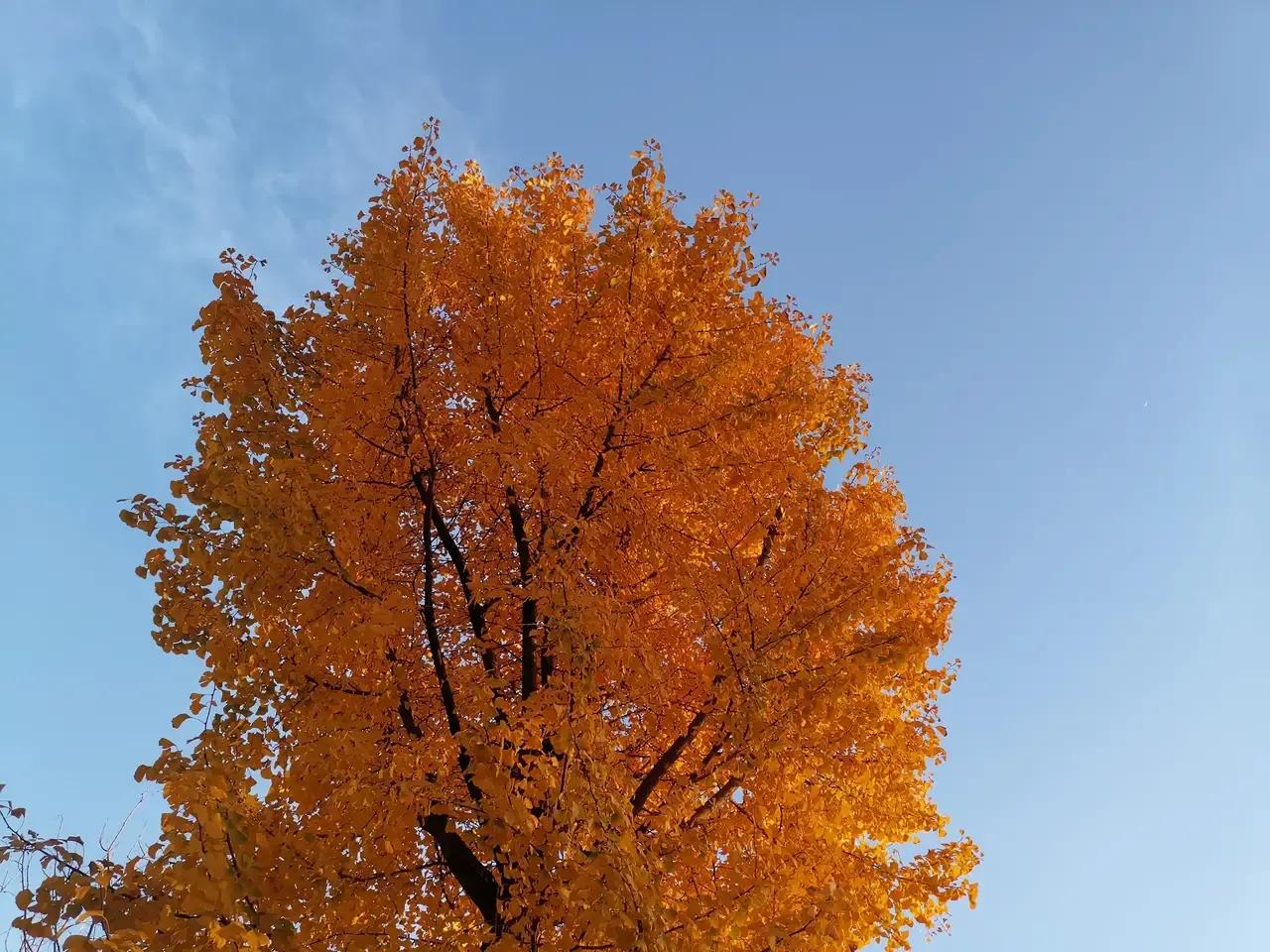 药物不良反应及合理用药,给药方案口诀