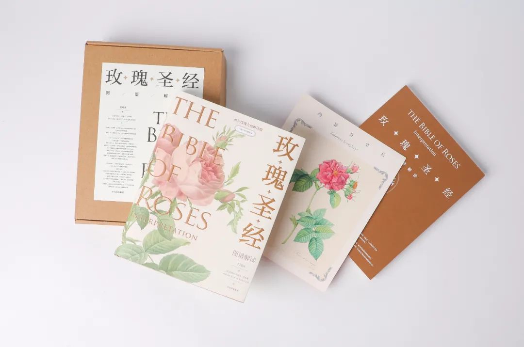 为了送中国的这株花给皇后,当年拿破仑不惜与英国达成停战协议?