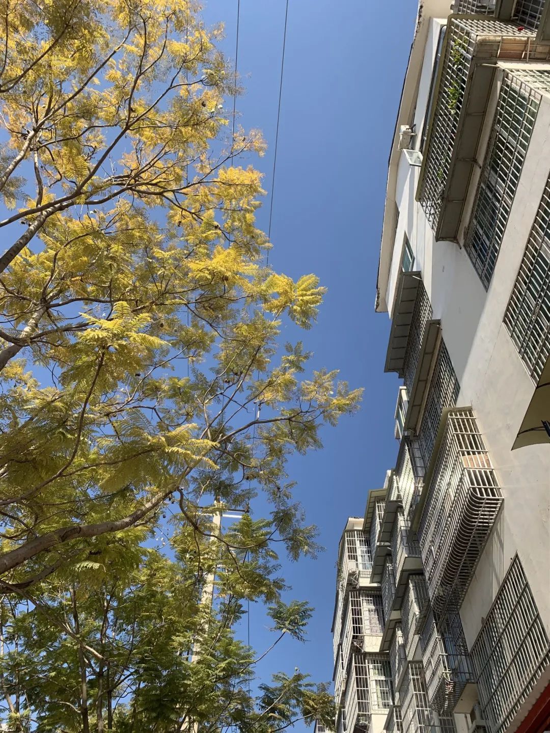 德昌的好地方,德昌有哪些值得去的