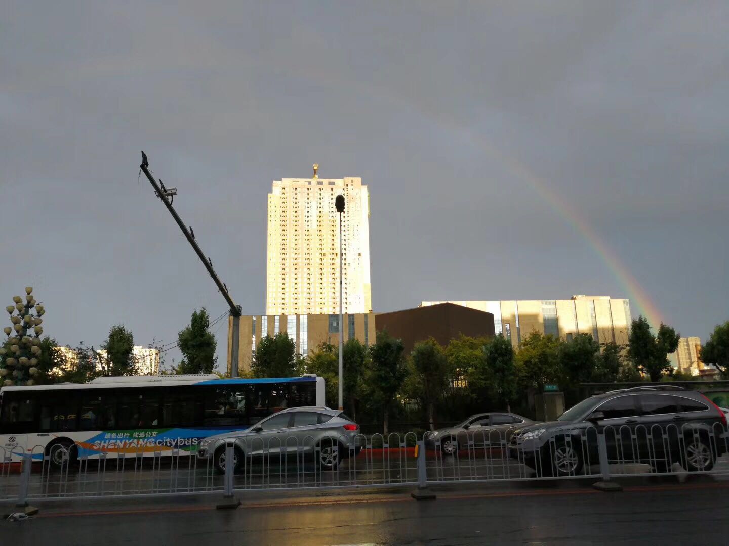 在东北买电车的必备条件,东北应该买什么电车