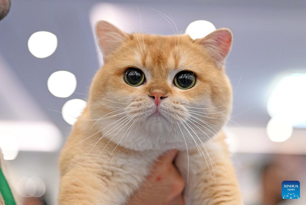 霍尼韦尔空气净化器除甲醛好吗,宠物空气净化器数据对比