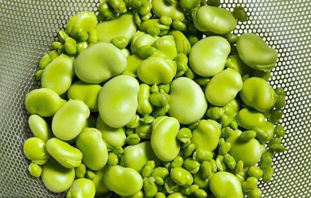 故乡留下太多的记忆,故乡留在我记忆深处的作文