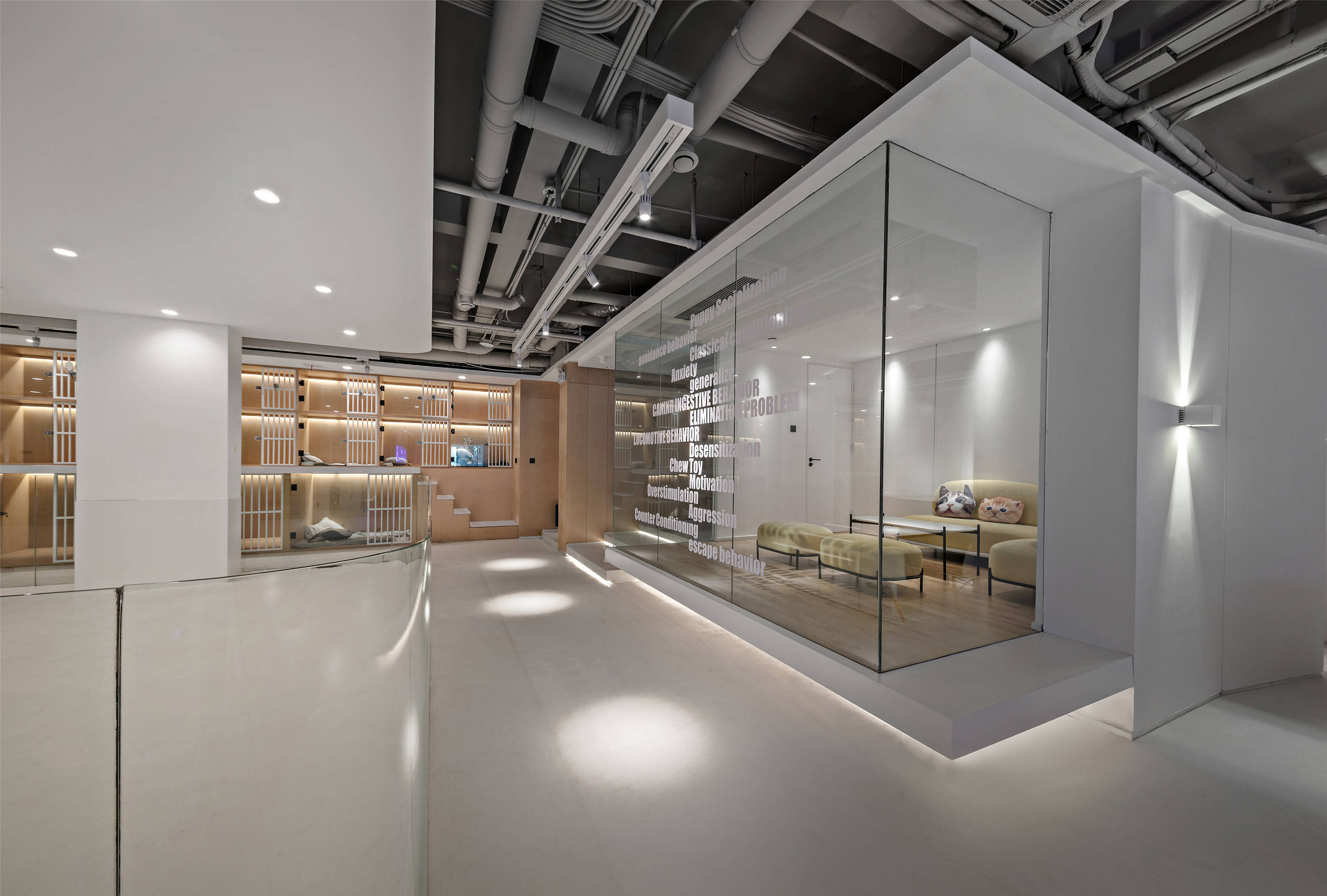 通州宠物店装修设计费用,深圳宠物店设计装修多少钱