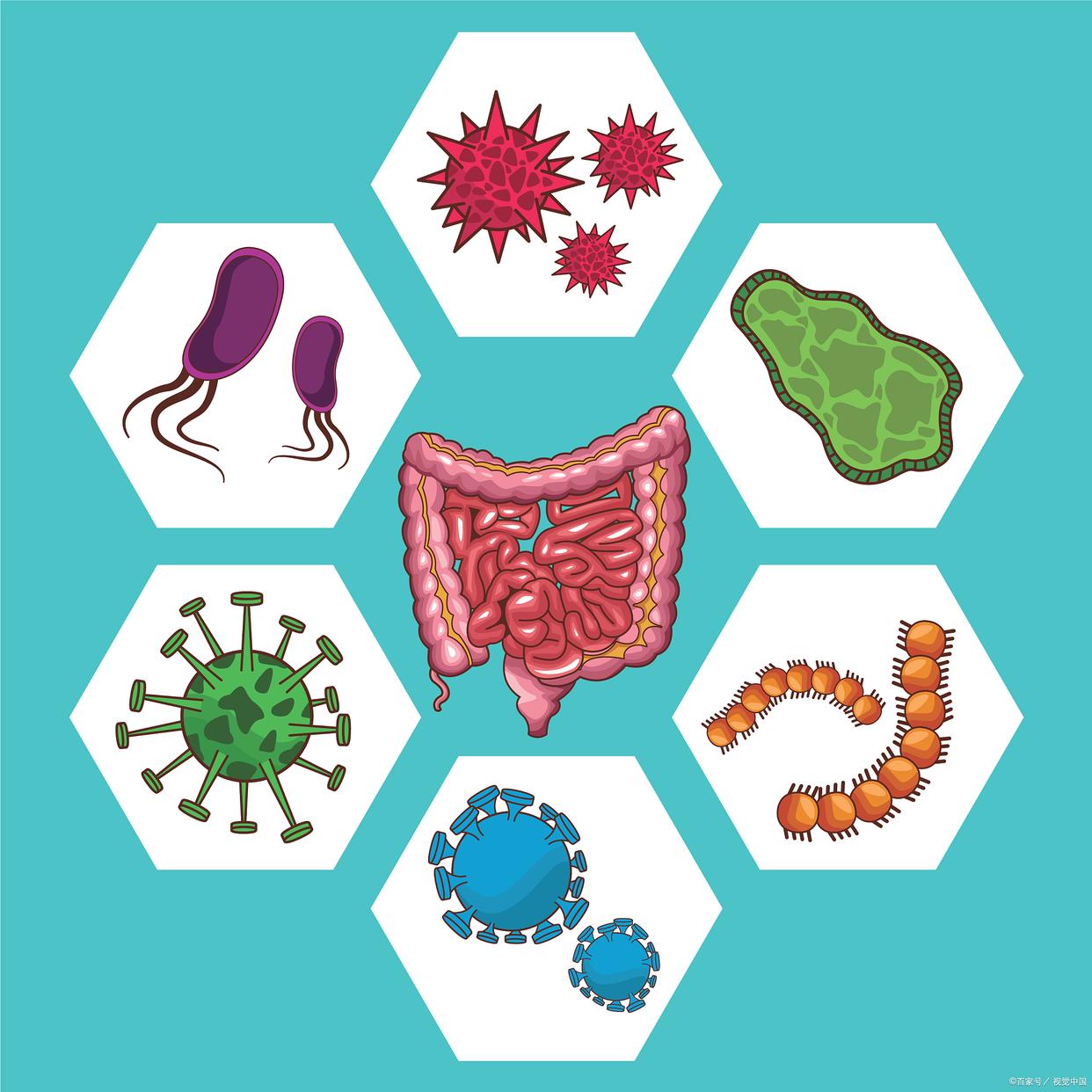 普洱熟茶对肠胃有什么影响,熟普洱茶能改善肠胃功能吗
