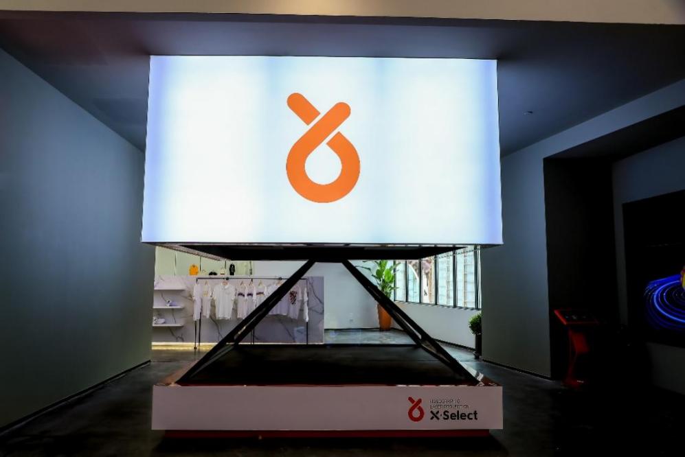 辛巴与辛选的关系,辛巴与辛选公益助农