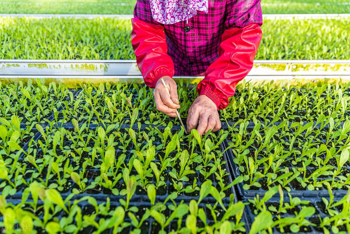 生态农业做什么最赚钱,生态农业前景如何