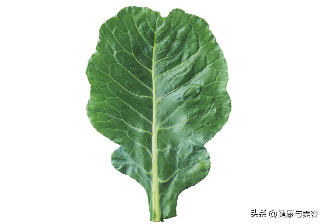 介绍一下羽衣甘蓝这种蔬菜,怎么介绍羽衣甘蓝营养价值