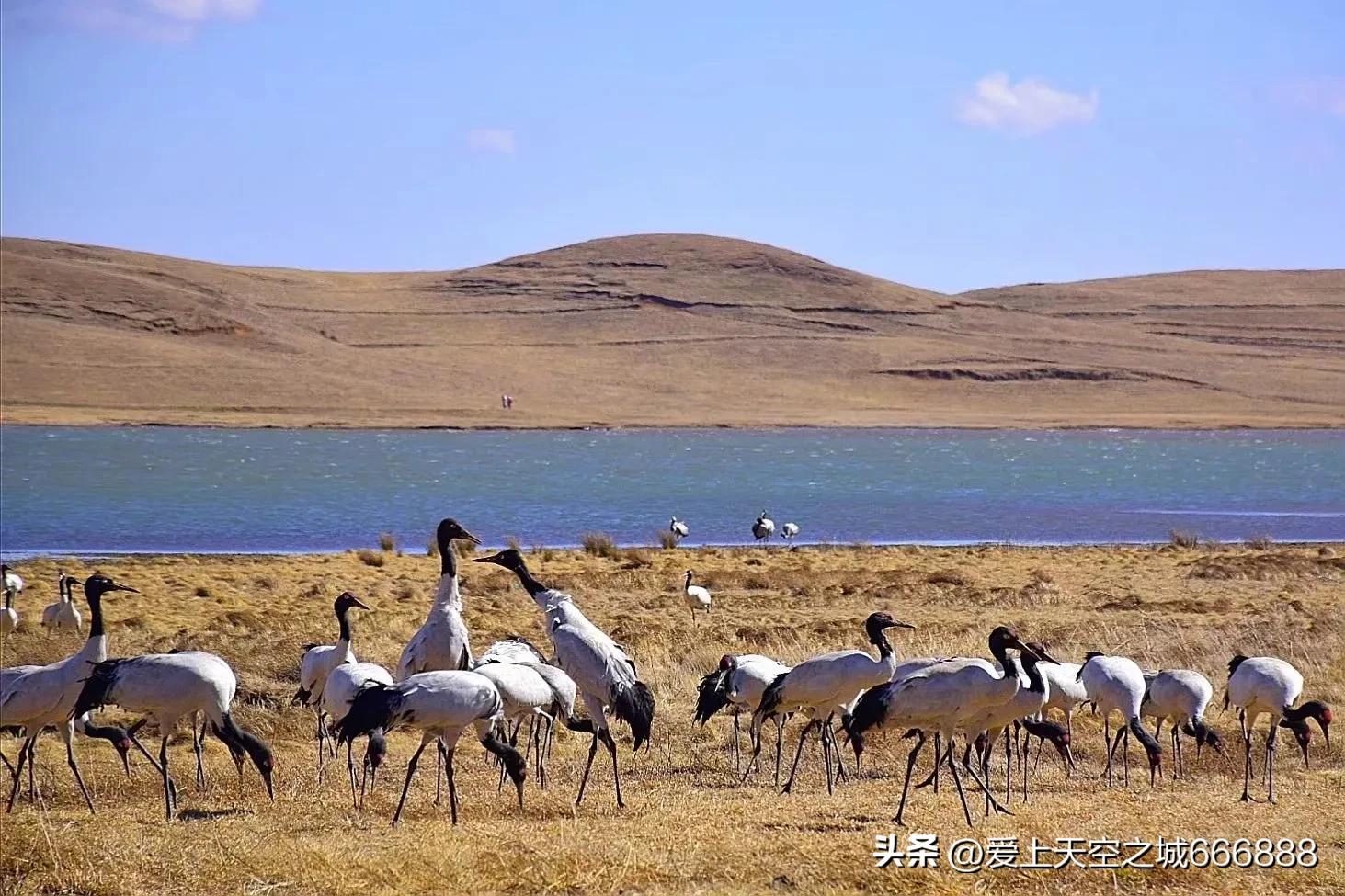 我们在云南全集,云南昭通大山包旅游攻略