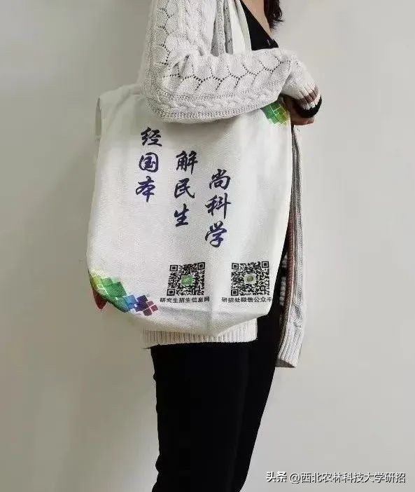 【“研”途风景|第6期】突然发现的瞬间