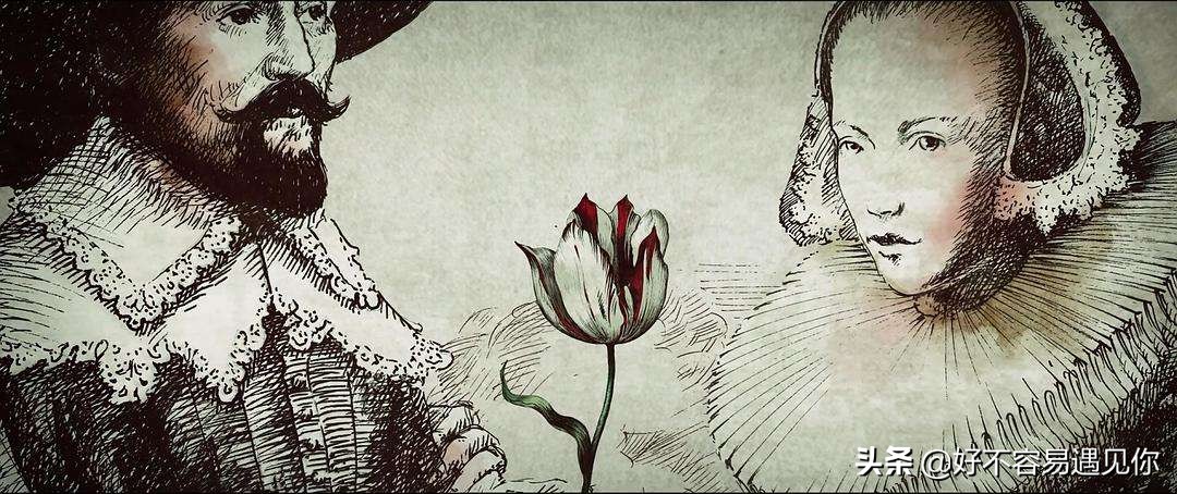 乌俄最新形势,俄乌荷兰战争最新消息