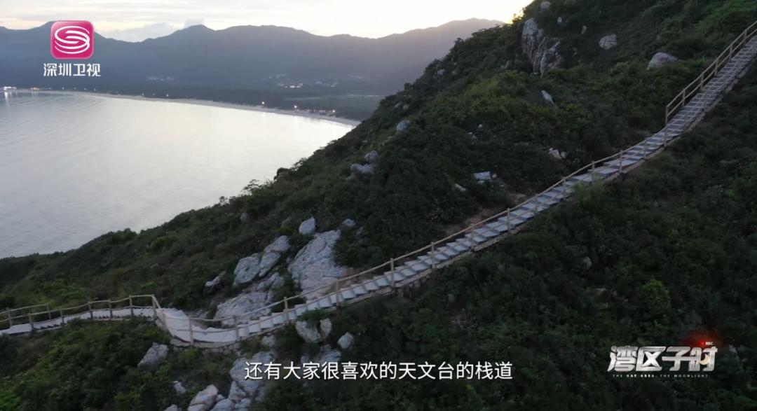 白天一起看海，晚上陪你数星星！这是什么宝藏工作？