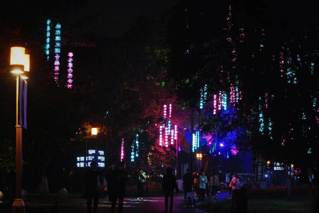 武汉东湖奇妙灯会,东湖灯会游玩攻略