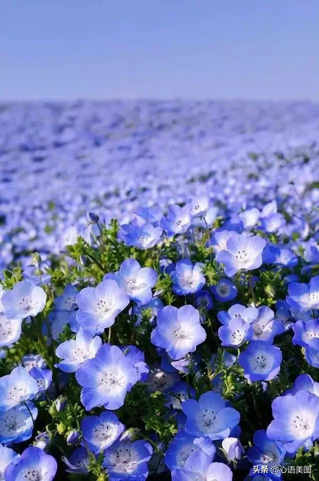 抖音热门文案爱情配图伤感,情感语录抖音配图文案