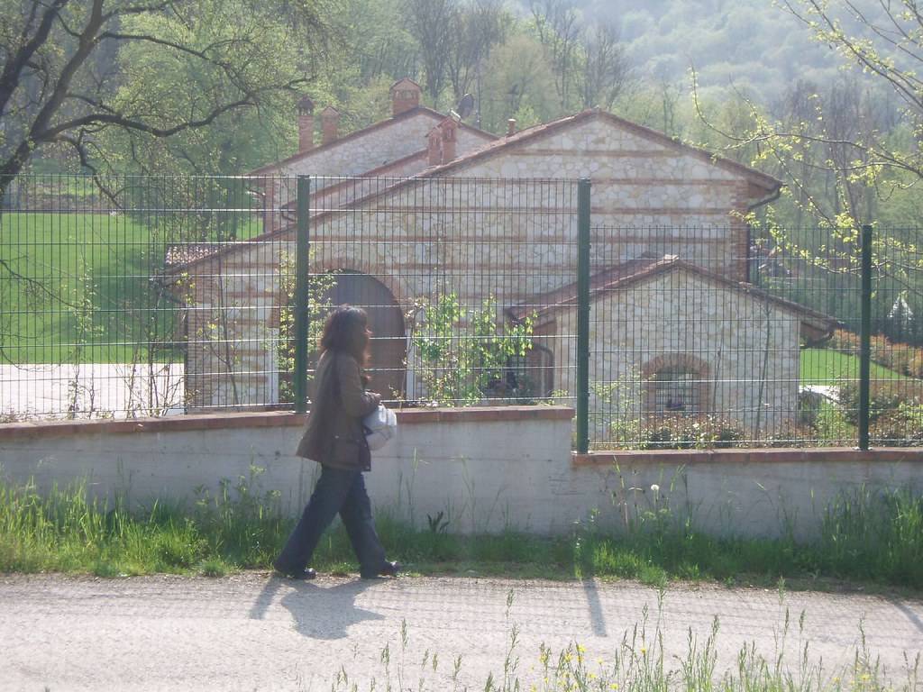 罗伯特巴乔球迷的初恋,老球员巴乔年轻的样子