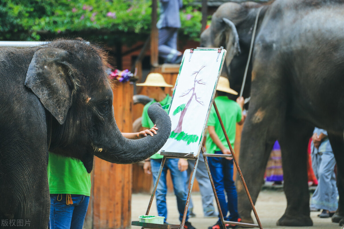 春节去云南哪里游玩有特色,春节除了云南还有哪里好耍