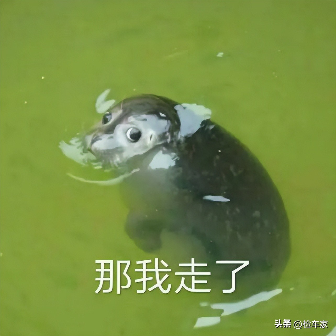 特斯拉model34万公里能卖多少,特斯拉的保值率和奥迪保值率对比