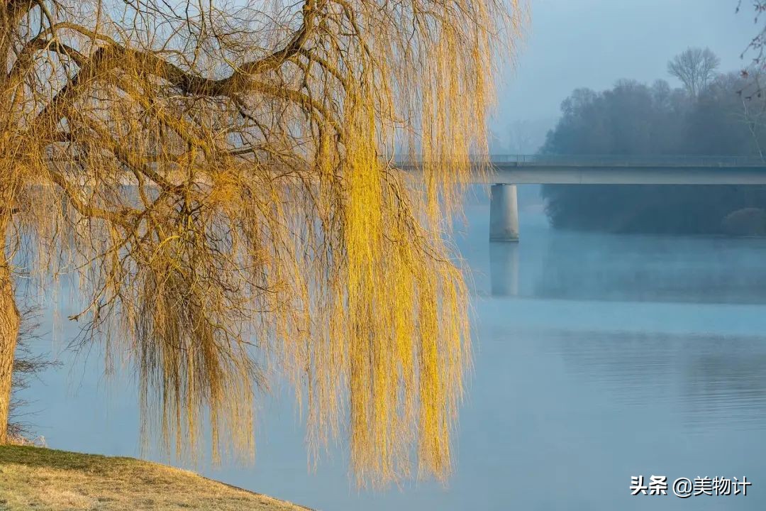 520的诗情画意的诗词,520优美爱情古诗