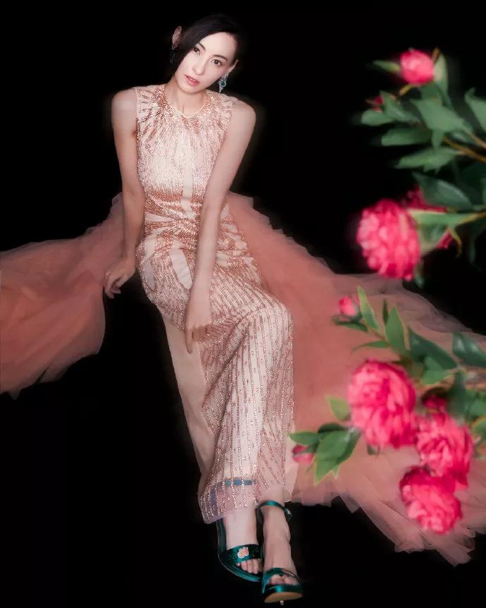 张柏芝最新惊艳高清图片手机壁纸,张柏芝最火的图片高清壁纸