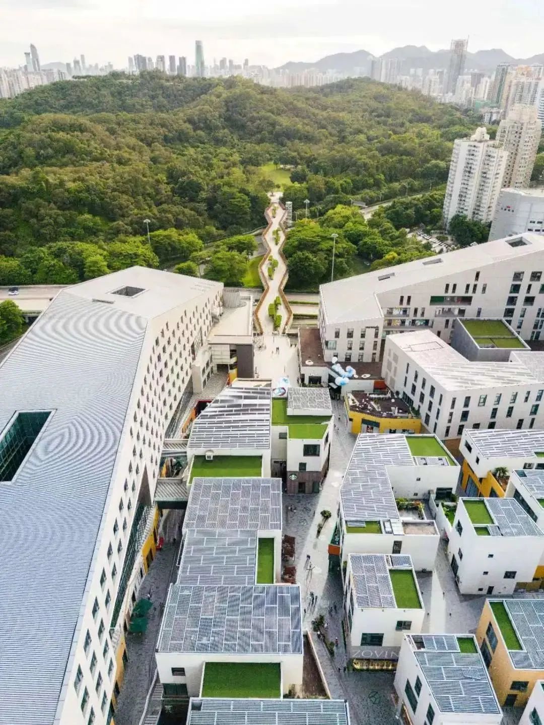 棣欐腐娣卞湷鍙嶅悜璐墿鏀荤暐,棣欐腐娣卞湷鍙嶅悜璐墿