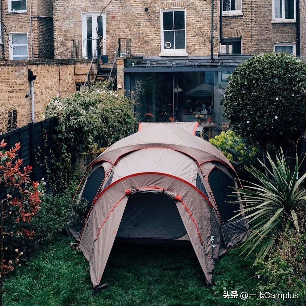 snowpeak发展史,snowpeak上海