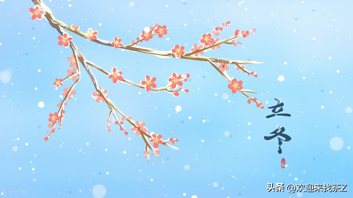 立冬后喝什么茶好喝一点,立冬之后喝哪些茶好喝一点