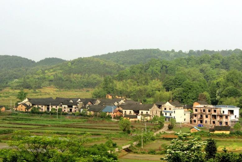 一分钟读懂桃花源记,真正厉害的人都是看得懂文言文的