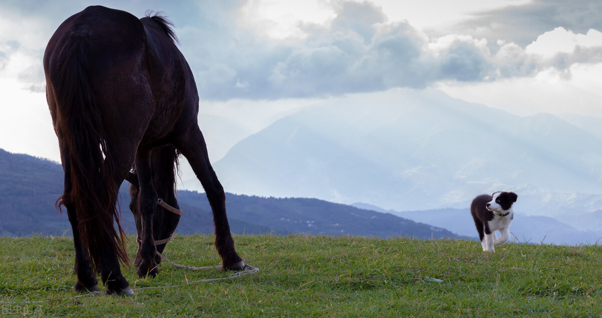 酷热难耐的八月即将过去,天气太热了回云南避暑