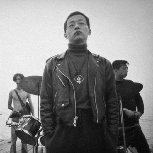 咏梅王菲栾树合影,栾树到底爱王菲还是咏梅