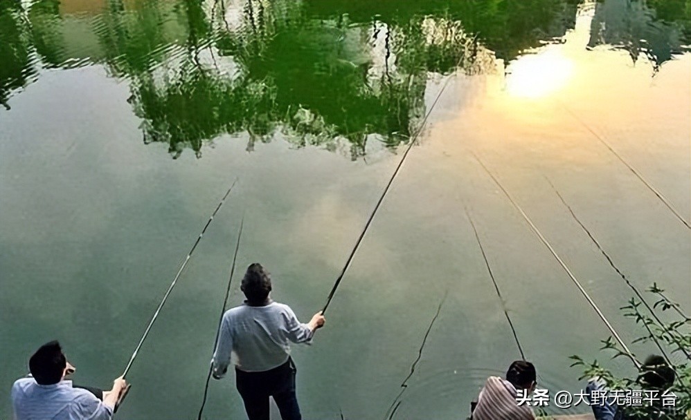 小说钓鱼执法完整版,小说钓鱼系统