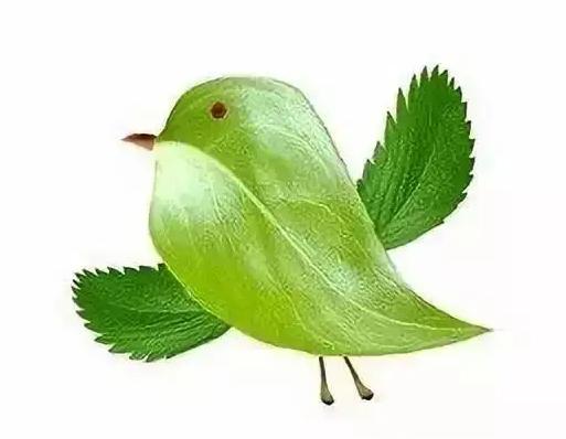 用落叶做一幅秋天的画,用水粉落叶做一幅秋天的画