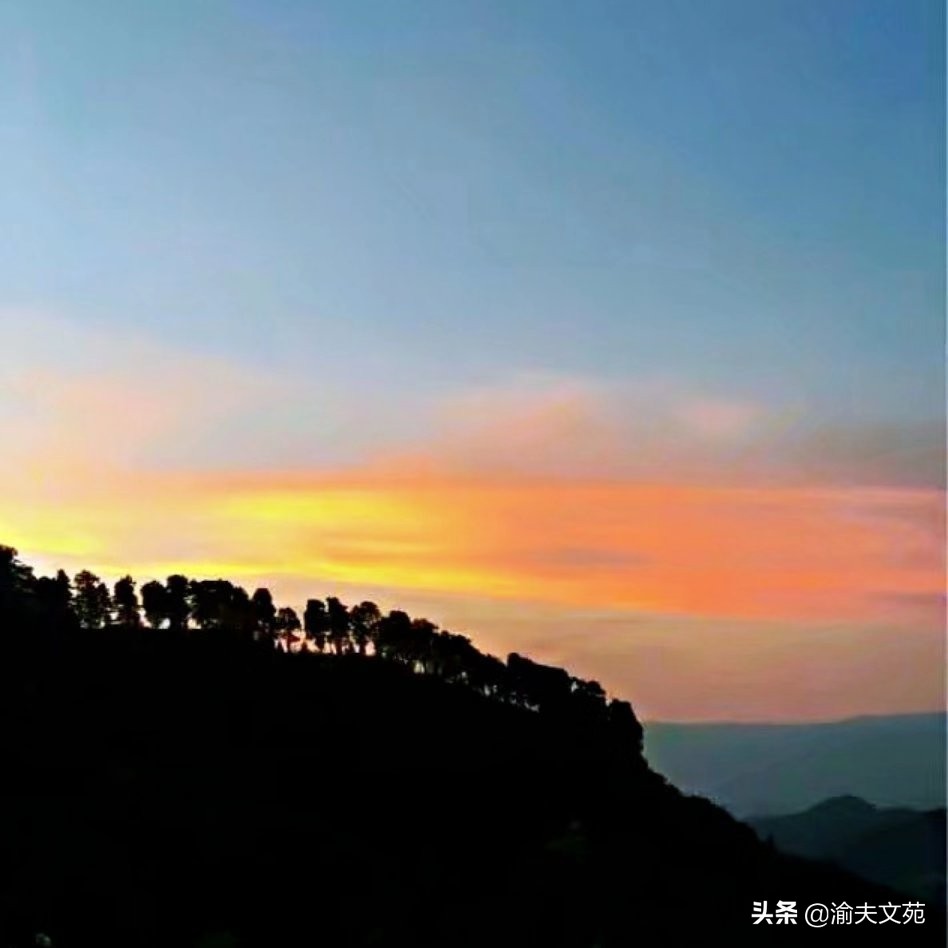 秋虫读后感,秋虫入窗读后感