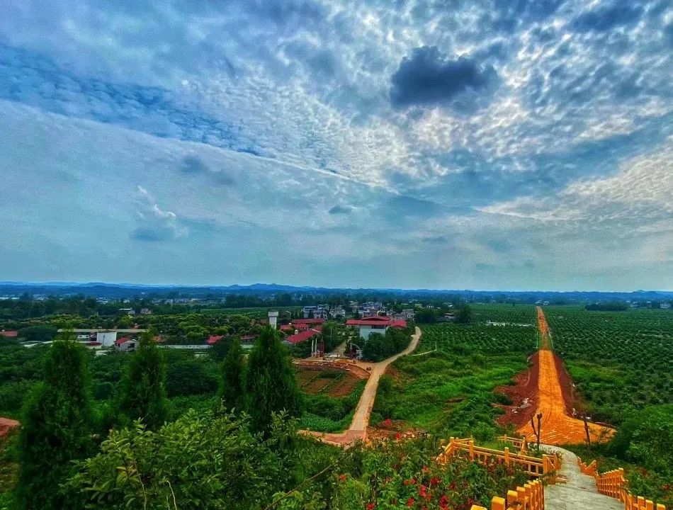 閲嶅簡娼煎崡鏃呮父鏅偣,閲嶅簡娼煎崡鍗佸ぇ鏅偣