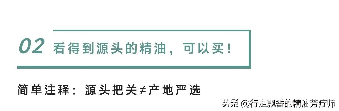 入门精油10大品牌,精油入门必备护肤品