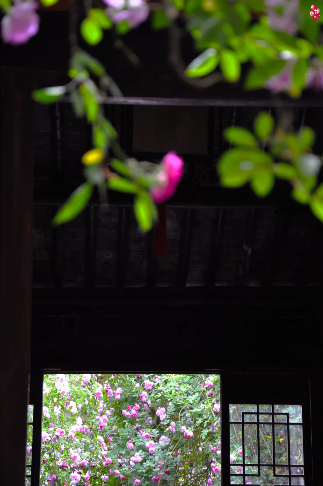 是什么困住了你的素材,是什么困住了我们