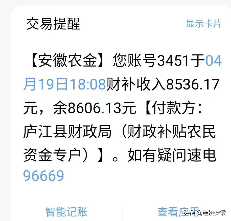 粮食怎么办,怎么解决粮食问题