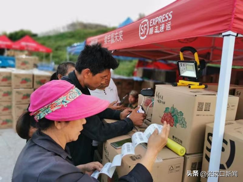 千年葡萄酒图片欣赏,河北怀来葡萄图片