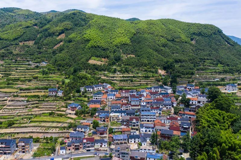 30条惠农政策,今年惠农有什么政策