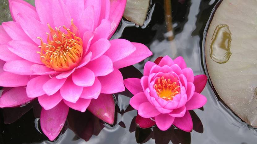 睡眠模式怎样定两个闹钟,睡眠状况可以设置2个闹钟吗