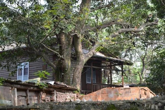 俗话说门前有三冲指的是什么,俗语家中放三物