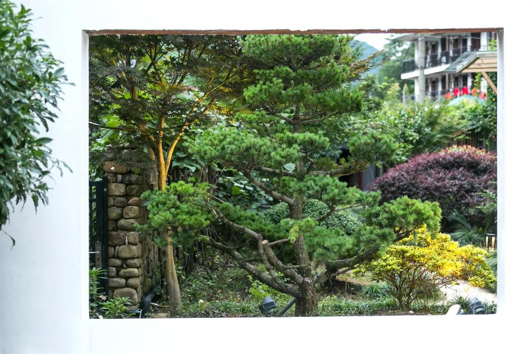 莫干山川野特色民宿,莫干山民宿亲子游烧烤