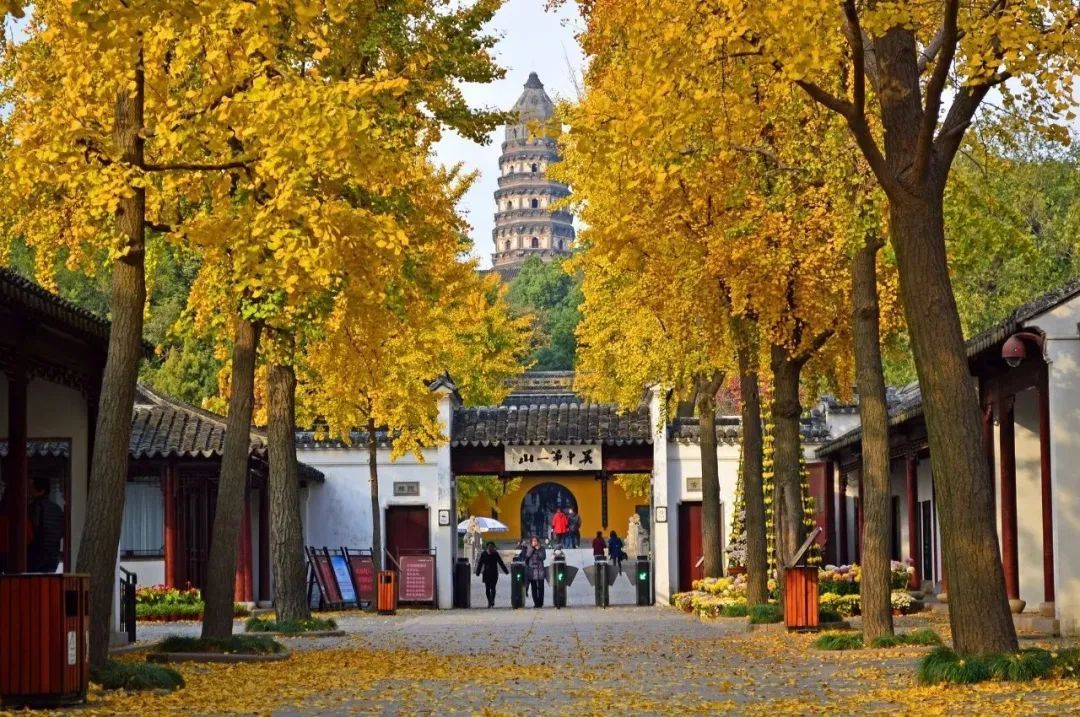 苏州旅游团七日游,苏州旅游团1日游