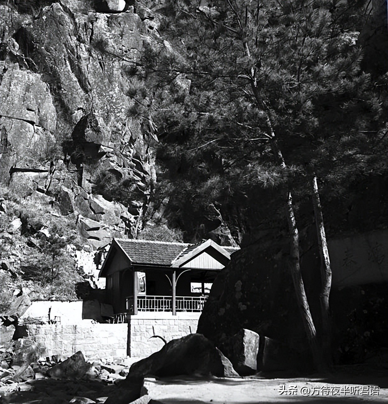 殊异之城：金石声穿过岁月的青岛留影